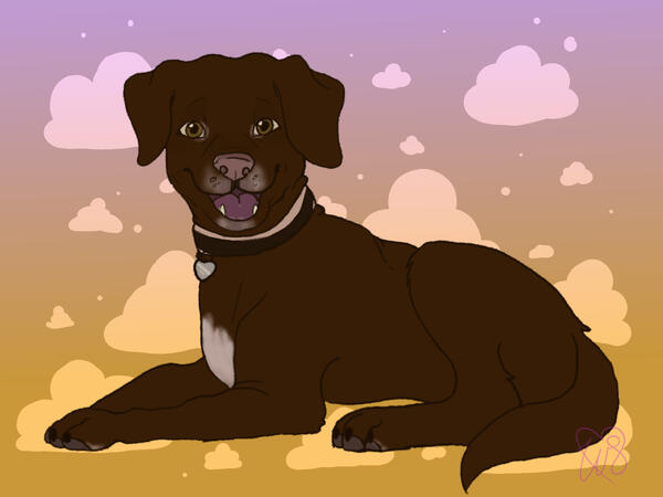 Pet Portrait