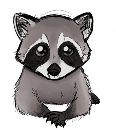 Raccoon doodle